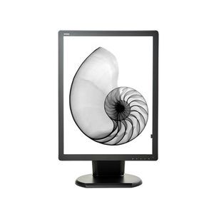 medizinisch Monitor