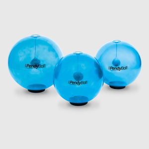 großer Pilatesball 1