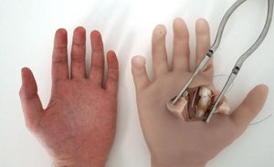 Chirurgie-Simulator / für Fortbildungen / Hand