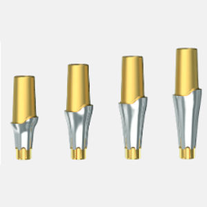 Implantat-Abutment / Titan 1