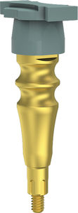 gerades Transferabutment 1