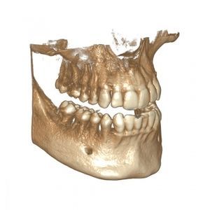 Software-Modul / DICOM-Visualisierung
