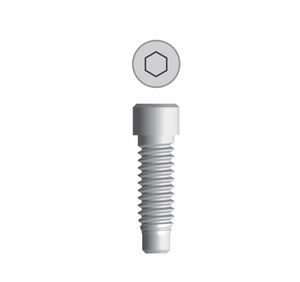 Implantat-Abutment / Titan