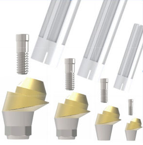 Implantat-Abutment / Titan