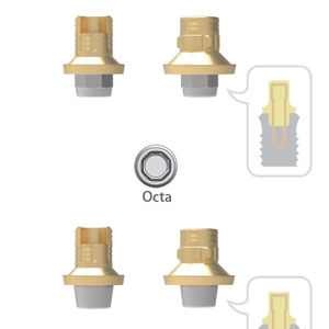 Implantat-Abutment / Titan 1