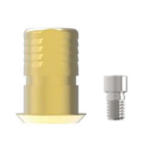 Implantat-Abutment / Titan 1