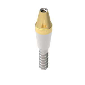 Implantat-Abutment / Titan 1