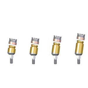 Implantat-Abutment / mit Innenverbindung 1