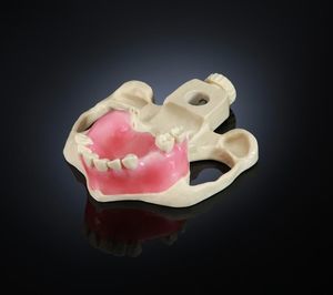 Anatomisches Modell / Tunica serosa 1