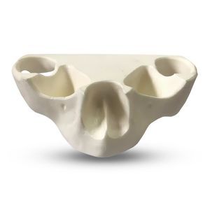Anatomisches Modell / Tunica serosa 1