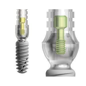 konisches Implantat-Abutment 1