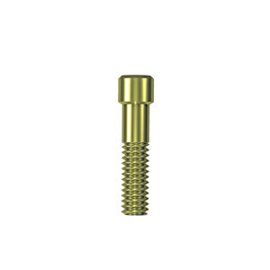 Titan-Implantatschraube 1