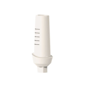 Implantat-Abutment / PEEK 1