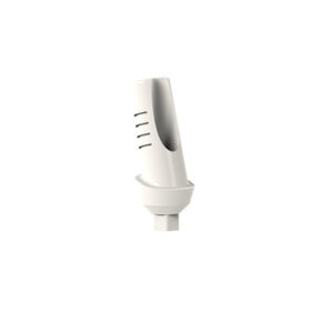 Implantat-Abutment / PEEK 1