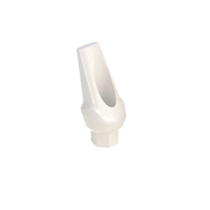 Implantat-Abutment / PEEK 1