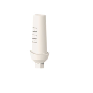 Implantat-Abutment / PEEK 1