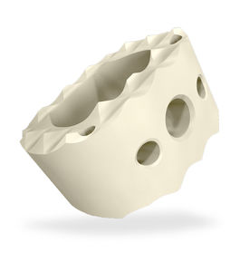HWS-Zwischenwirbelimplantat 1