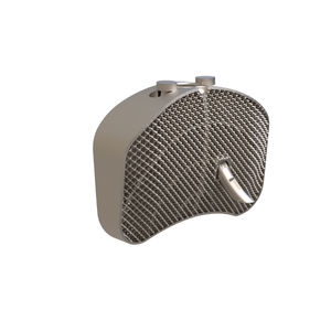 LWS-Zwischenwirbelimplantat 1