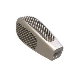 LWS-Zwischenwirbelimplantat 1