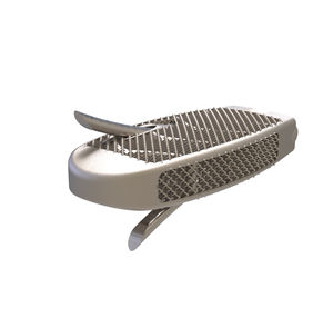 LWS-Zwischenwirbelimplantat 1