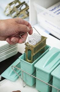 Etikettenrolle für Mikroskopie-Objektträger 1