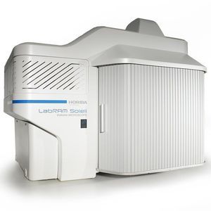SEM-Mikroskop 1