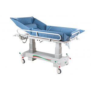 elektrischer Duschwagen