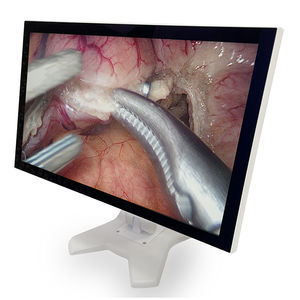 medizinisch Monitor