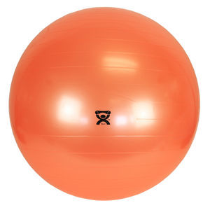 großer Pilatesball 1