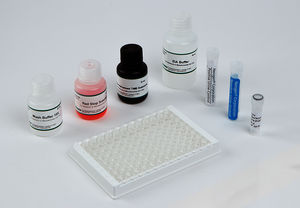 Testkit für forensische Anwendungen 1