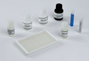 Testkit für forensische Anwendungen 1