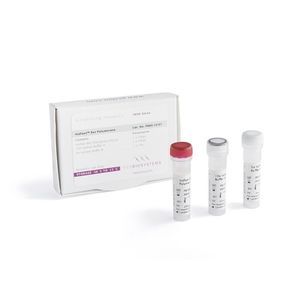 Reagenzkit für isotherme Amplifikation