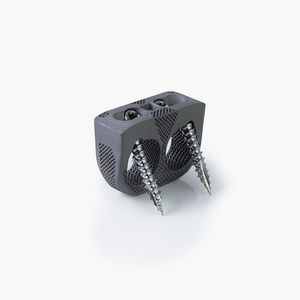 LWS-Zwischenwirbelimplantat