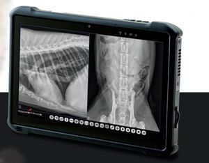 digitales Veterinär-Röntgensystem