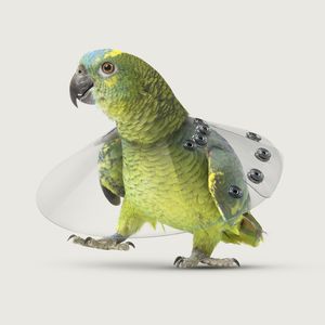 Halskragen für Vögel