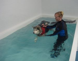 bodenstehendes Schwimmbecken für Rehabilitation