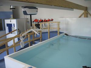 bodenstehendes Schwimmbecken für Rehabilitation