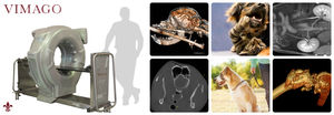 Veterinär-CT-Scanner