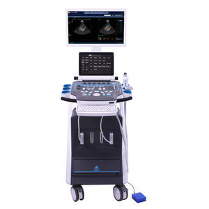 Elastographsystem mit Ultraschall / Leberzirrhose 1
