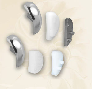 einteilige Knieprothese 1