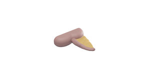Anatomisches Modell / Appendix