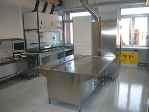Labor-Arbeitsstation / Histopathologie
