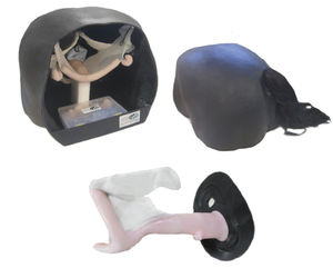 Anatomisches Modell / Rektum