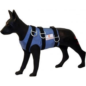 Trainingspuppe für Veterinärmedizin 1