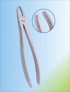 Dentale Extraktionszange / für Schneidezähne
