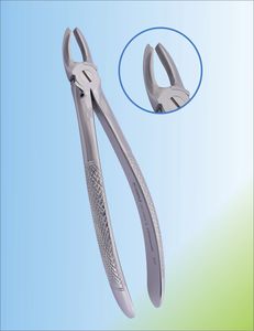 Dentale Extraktionszange / für obere Schneidezähne