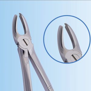 Dentale Extraktionszange / für obere Schneidezähne
