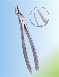 Dentale Extraktionszange / für Zahnwurzeln