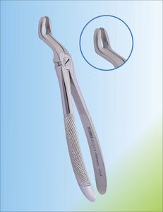 Dentale Extraktionszange / für obere Schneidezähne
