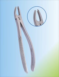 Dentale Extraktionszange / für obere Schneidezähne